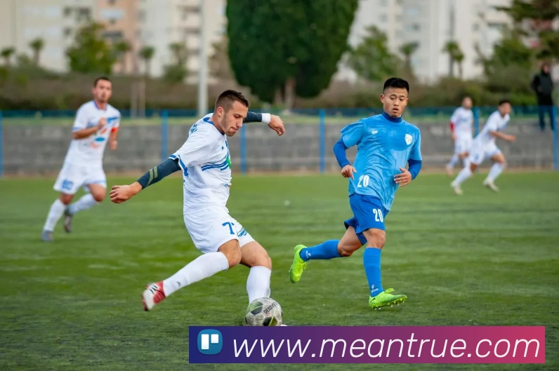 bandao体育官网全站App